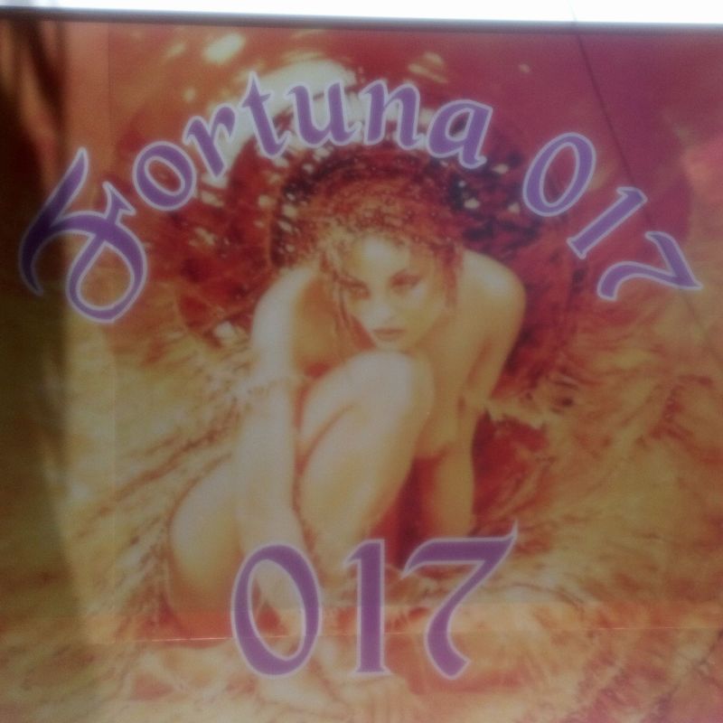 Fortuna 017